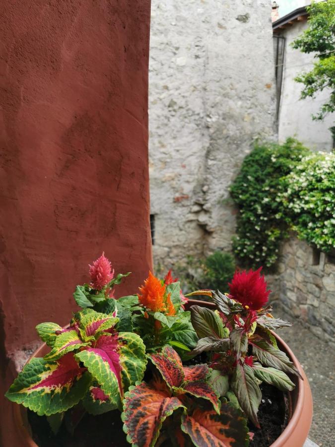 Alla Torre Del Barbarossa B&B Foresteria Mandello del Lario Exterior foto